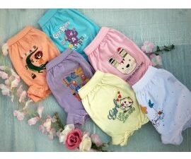 Bloomer Light colour With sticker Print(1600)